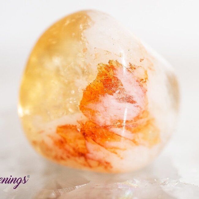 Citrine & Cacoxenite - Tumbled