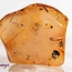 Carnelian - Tumbled (Banded)