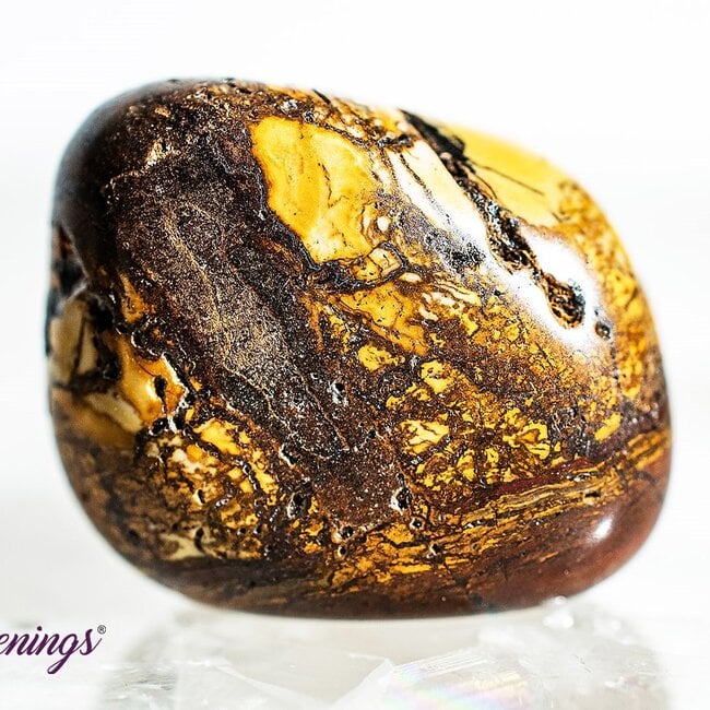 Desert Sunset Jasper - Tumbled Polychrome