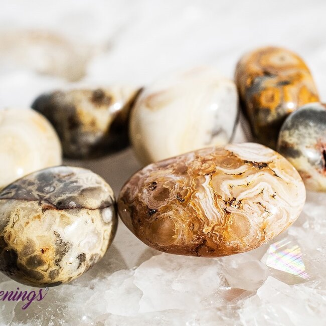 Crazy Lace Agate - Tumbled