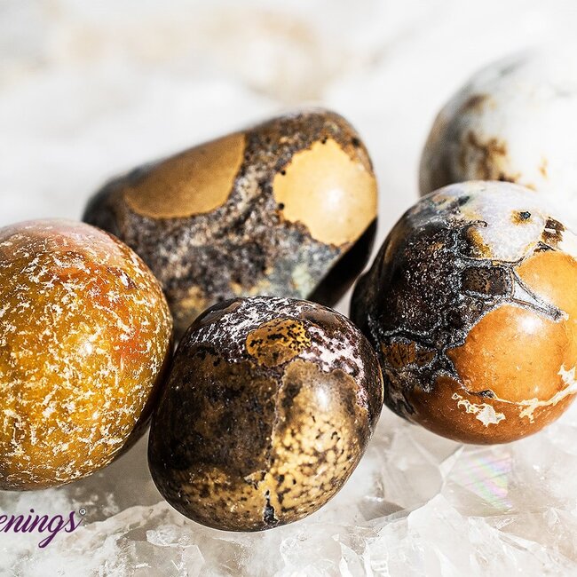 Conglomerate Jasper- Tumbled