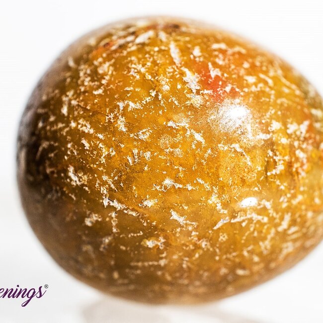 Conglomerate Jasper- Tumbled