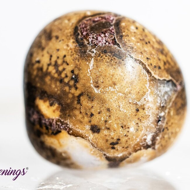 Conglomerate Jasper- Tumbled