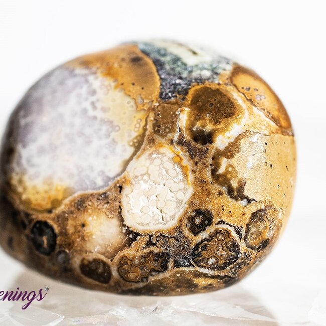 Conglomerate Jasper- Tumbled