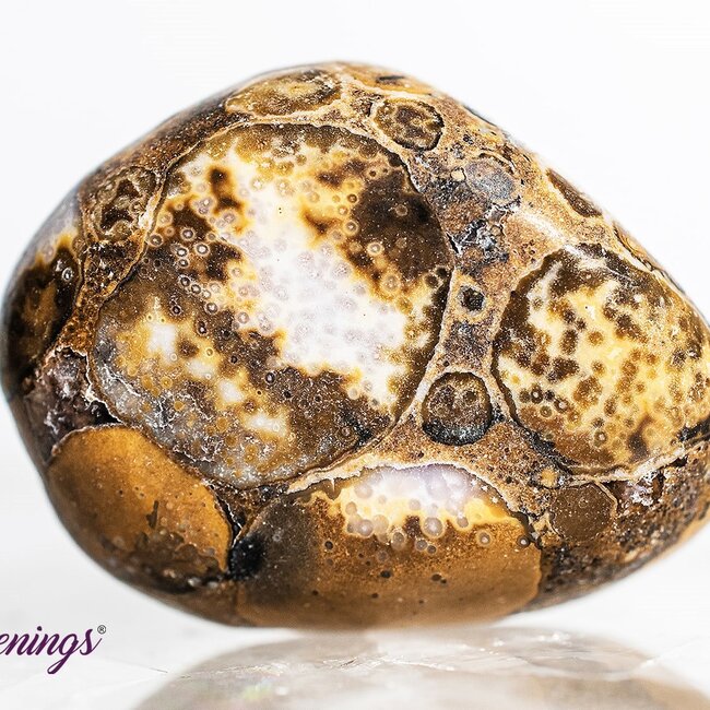 Conglomerate Jasper- Tumbled