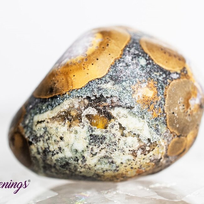 Conglomerate Jasper- Tumbled