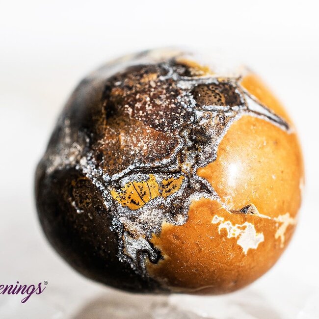 Conglomerate Jasper- Tumbled