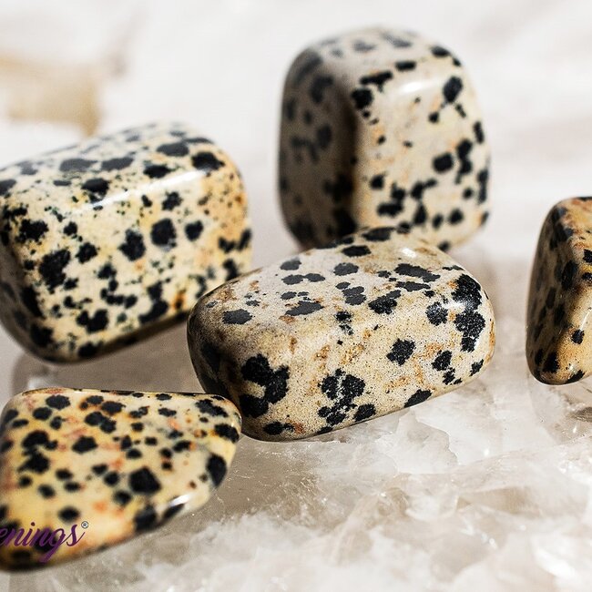 Dalmatian Jasper - Tumbled