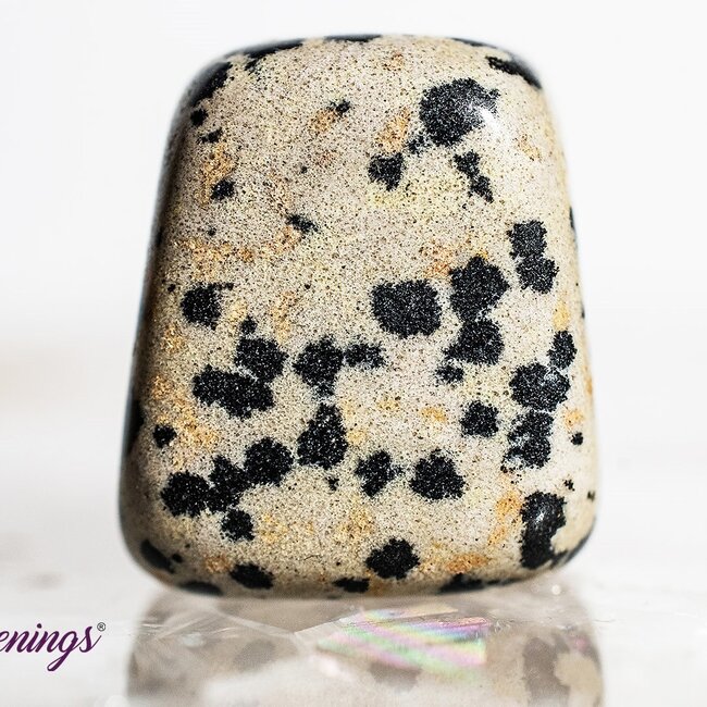 Dalmatian Jasper - Tumbled