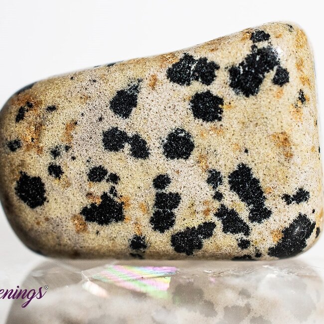 Dalmatian Jasper - Tumbled