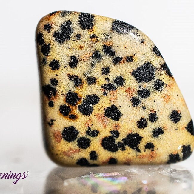 Dalmatian Jasper - Tumbled