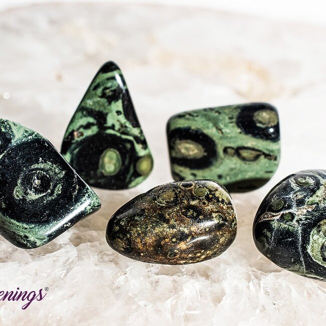 Crocodile (Kambaba) Jasper (Green Stromatolite) - Tumbled