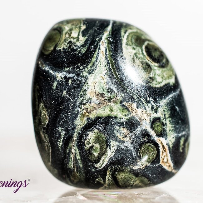 Crocodile (Kambaba) Jasper (Green Stromatolite) - Tumbled