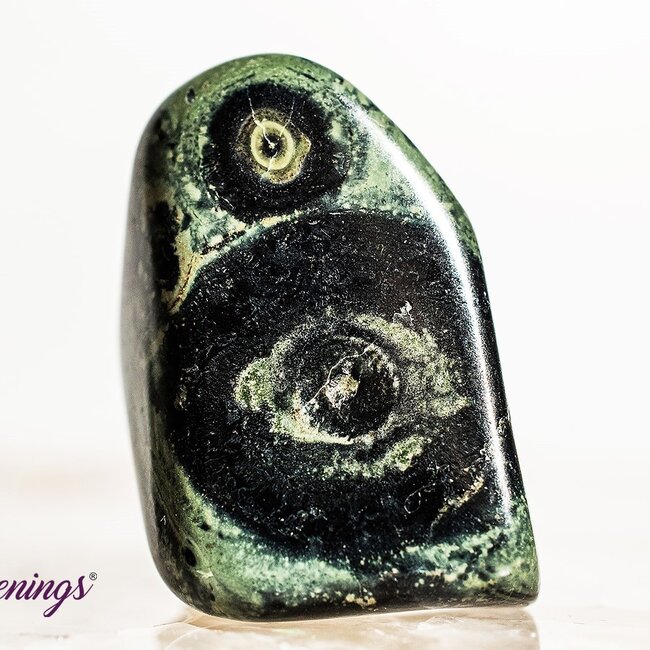 Crocodile (Kambaba) Jasper (Green Stromatolite) - Tumbled