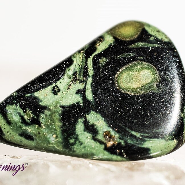Crocodile (Kambaba) Jasper (Green Stromatolite) - Tumbled