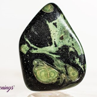 Crocodile (Kambaba) Jasper (Green Stromatolite) - Tumbled