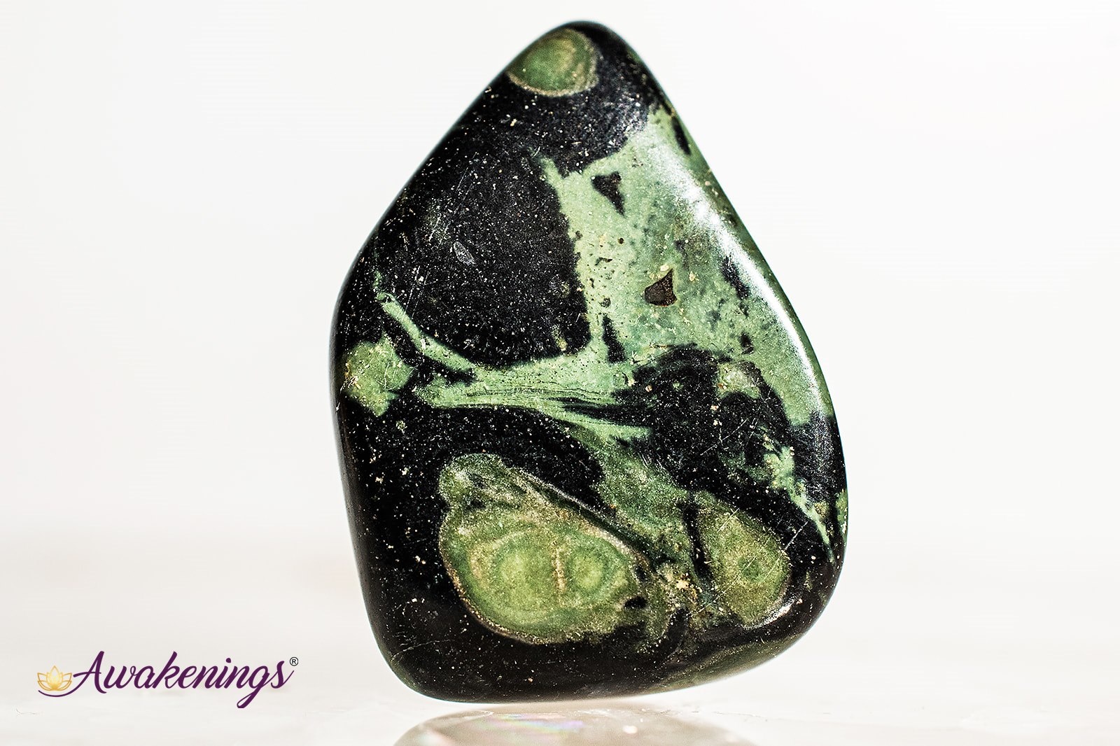 d*8様 STONE  L15E2 アリゲーターカモ ショ Crocodile (Kambaba) Jasper (Green Stromatolite) - Tumbled - Awakenings