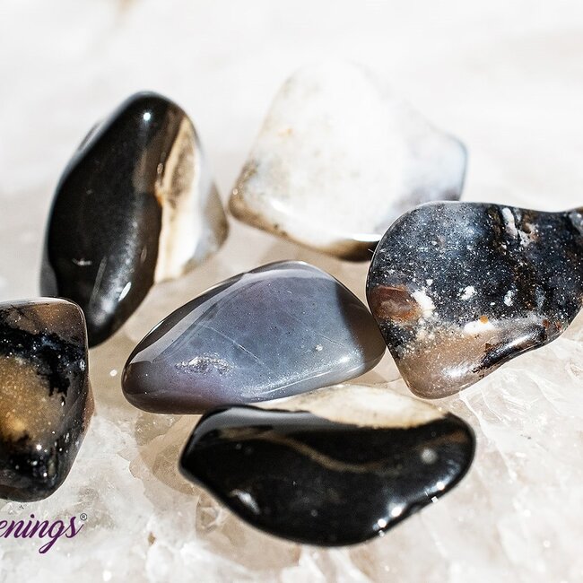 Dendritic Agate - Tumbled