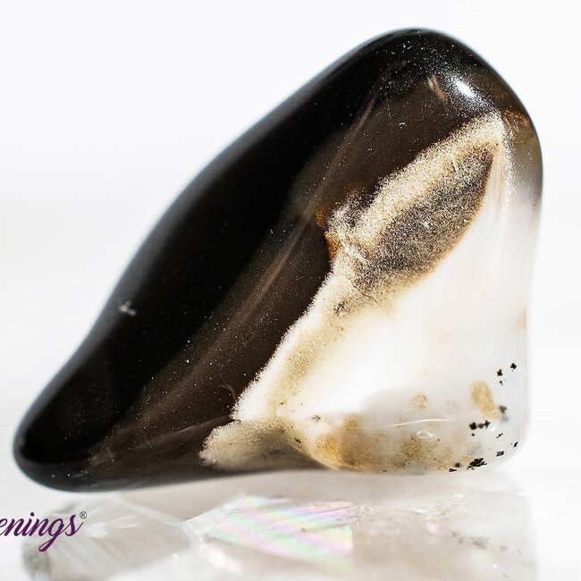 Dendritic Agate - Tumbled