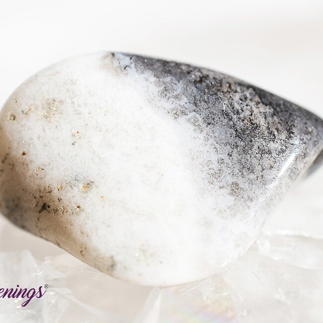 Dendritic Agate - Tumbled