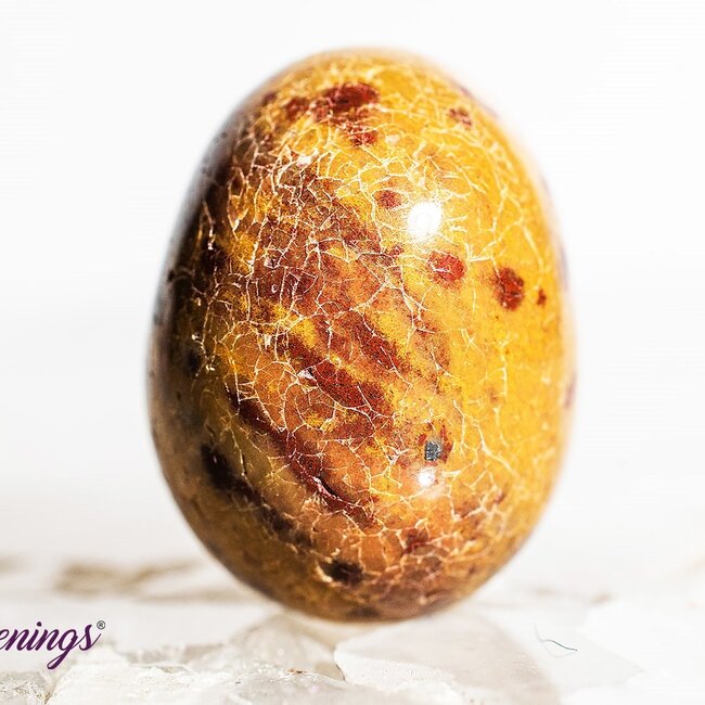 Fancy Jasper - Tumbled