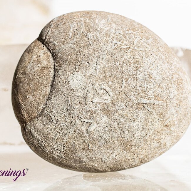 Fairy Stones (Goddess Stone) - Medium Rough Raw Natural