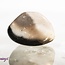 Crop Circle Flint - Tumbled