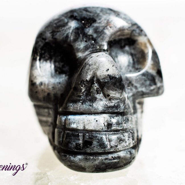 Black Labradorite (Larvakite) Skulls - Mini Carving