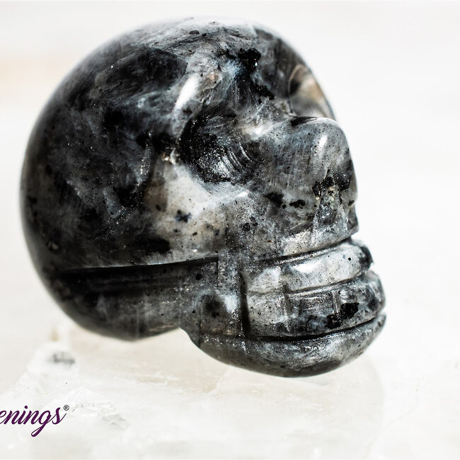 Black Labradorite (Larvakite) Skulls - Mini Carving