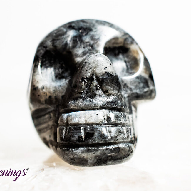 Black Labradorite (Larvakite) Skulls - Mini Carving
