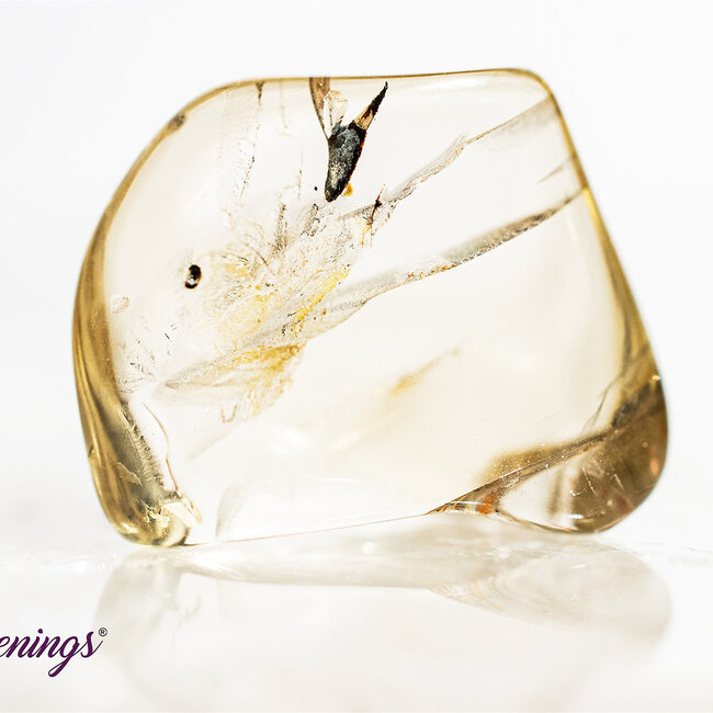 Bytownite (Golden Labradorite)  - Tumbled