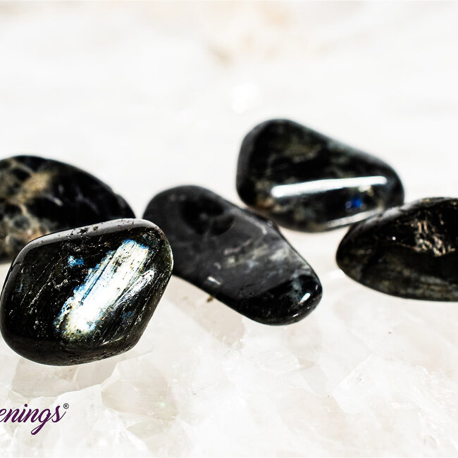 Spectrolite (Finland Labradorite) - Tumbled