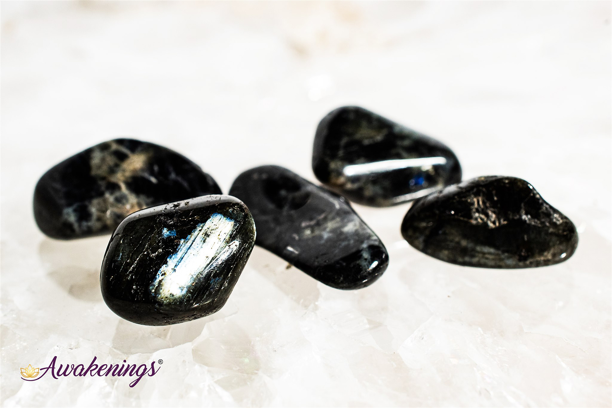 Spectrolite Tumbled Spectrolite (Finland Labradorite) - Tumbled - Awakenings