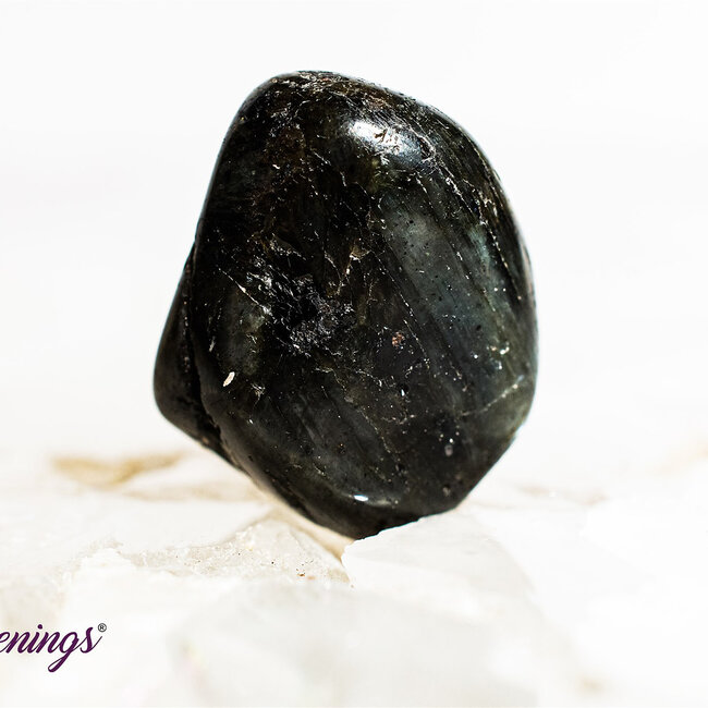 Spectrolite (Finland Labradorite) - Tumbled