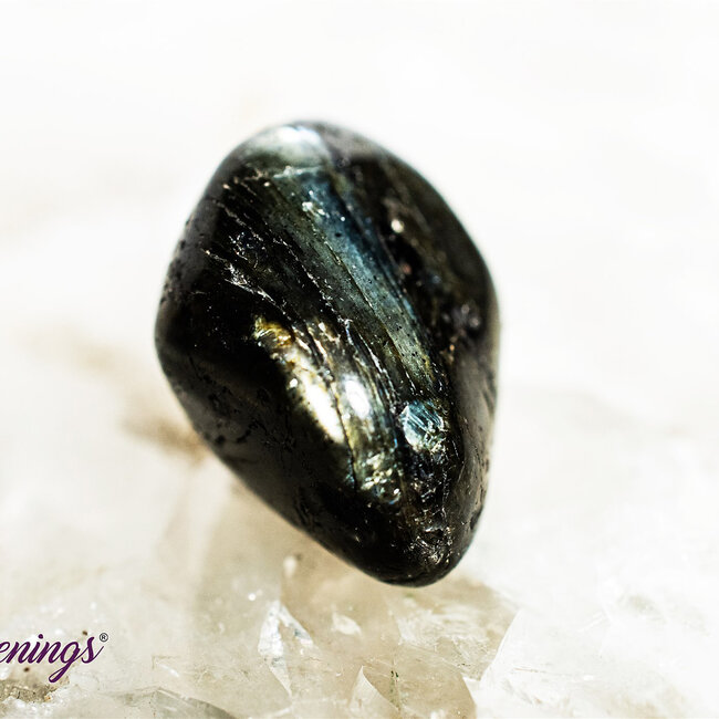 Spectrolite (Finland Labradorite) - Tumbled