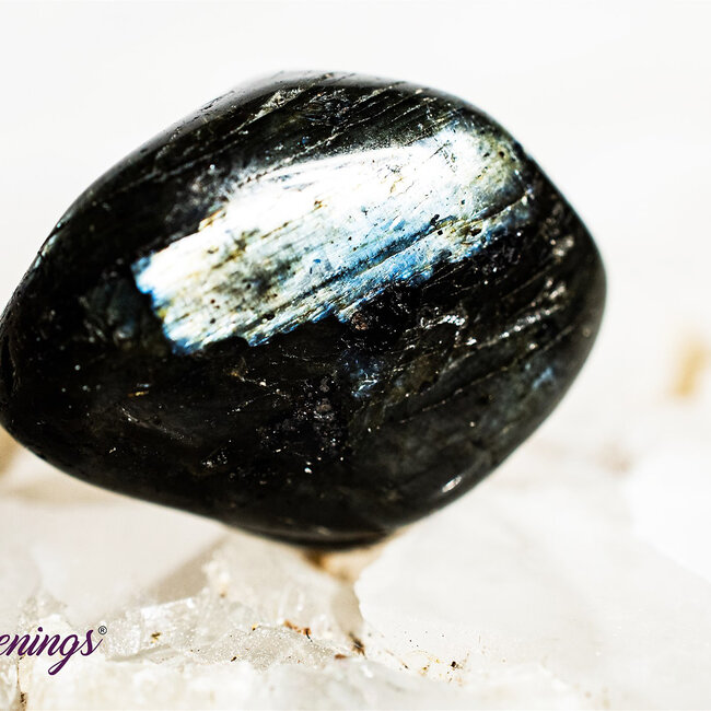 Spectrolite (Finland Labradorite) - Tumbled