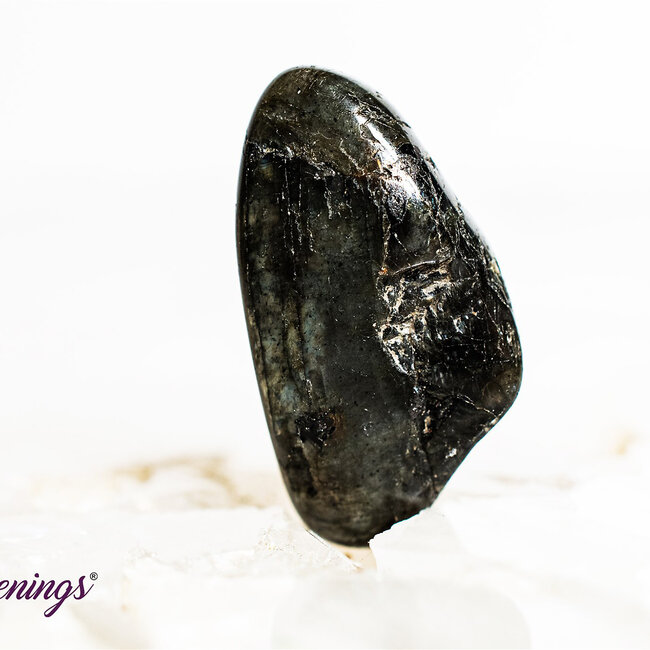 Spectrolite (Finland Labradorite) - Tumbled