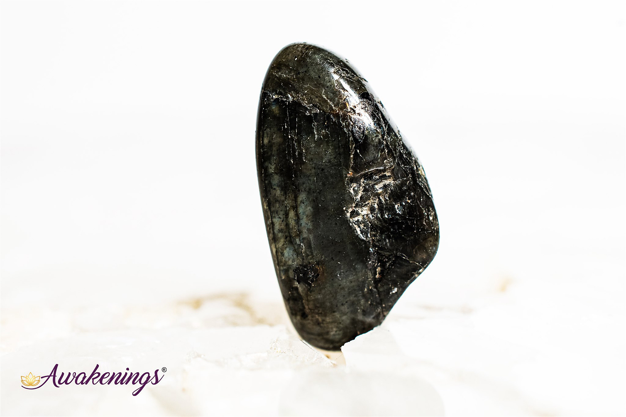 Spectrolite Tumbled Spectrolite (Finland Labradorite) - Tumbled - Awakenings