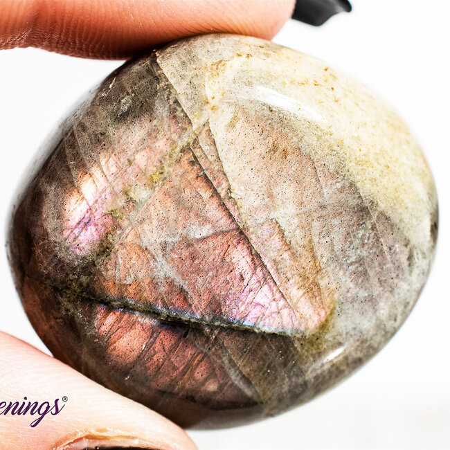 Purple Labradorite Palm Pillow Pocket Stone - Small ( 2")
