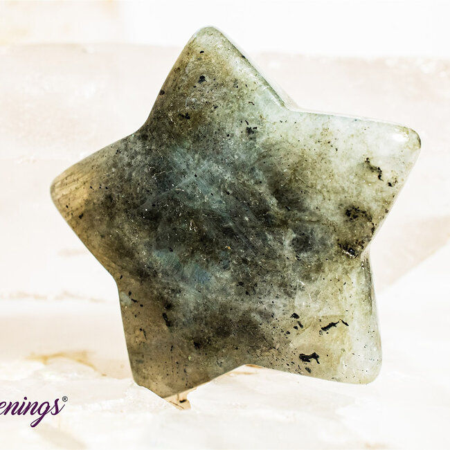 Labradorite Stars - Medium