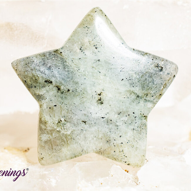 Labradorite Stars - Medium