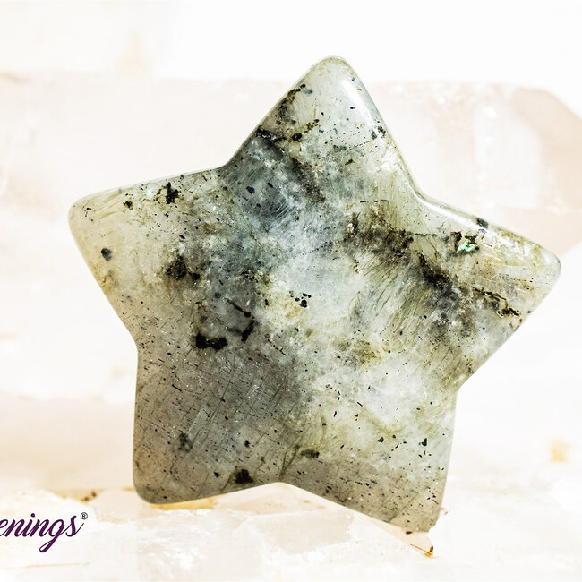 Labradorite Stars - Medium