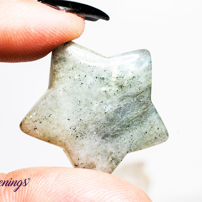 Labradorite Stars - Medium