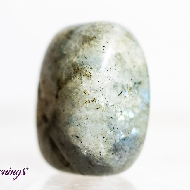 Labradorite - Tumbled