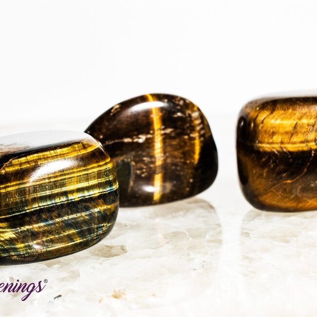 Gold Tigers Eye- Tumbled Large