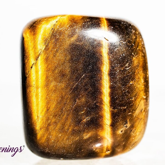Gold Tigers Eye- Tumbled Large