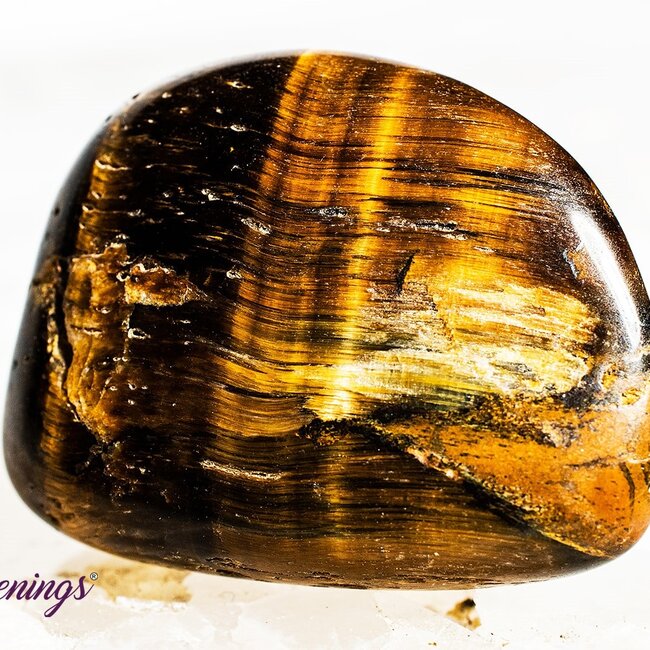 Gold Tigers Eye- Tumbled Large