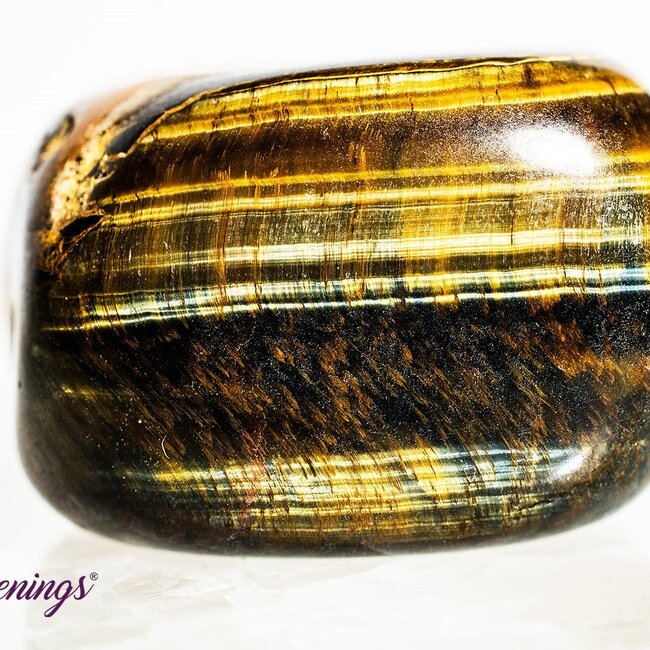 Gold Tigers Eye- Tumbled Large