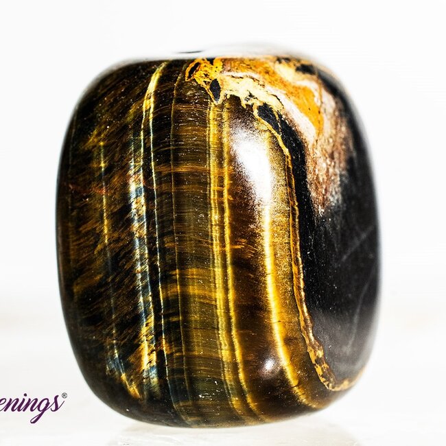 Gold Tigers Eye- Tumbled Large