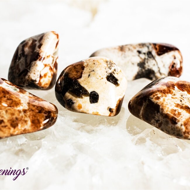 Garnet in Limestone - Tumbled